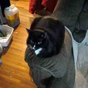 Meet your Posher, Larry